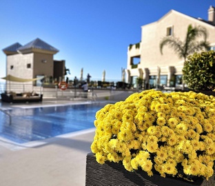 Piscine  Vincci Selección Aleysa Málaga Benalmádena